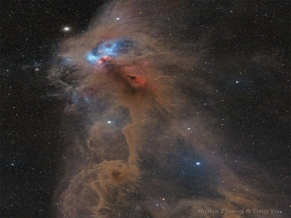 NGC 6727: The Rampaging Baboon Nebula (2024-09-24)