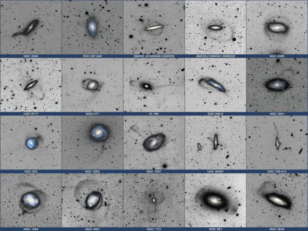 Stellar Streams in the Local Universe (2024-09-27)